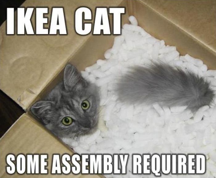 Ikea cat - Some assembly required